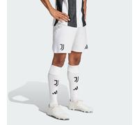 Short Home Authentic 24/25 Juventus White 2XL