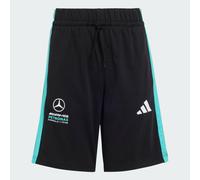 SHORT MERCEDES-AMG PETRONAS FORMULA 1 TEAM DNA Black / Semi Mint Rush 15-16A