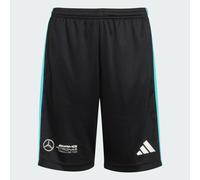 SHORT MERCEDES - AMG PETRONAS FORMULA ONE TEAM DNA Black / White 7-8A