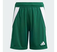 Short Tiro 24 Junior Team Dark Green / White 11-12A
