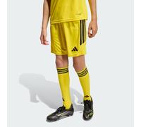 Short Tiro26 League Team Yellow / Black 9-10A