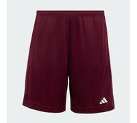 Short Train Essentials Logo Regular Fit Junior Maroon / White 7-8A