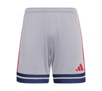 adidas Uomo SQUADRA25 Short, Glory Grey/Team Navy Blue 2/Pure Ruby, 3XL