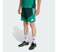 Shorts da allenamento Algeria 26 Team Dark Green L Tall