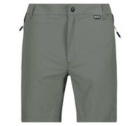 Regatta Mountain Ii Shorts Grigio 38 Uomo