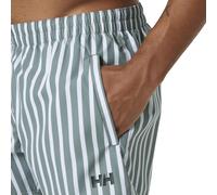 Shorts Helly Hansen Newport Trunk Gris S