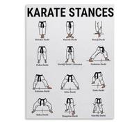 Shotokan Karate Stances Poster Dojo Training Room Canvas Wall-Art(Unframed,16x24inch(40x60cm))