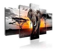 SHOUXI Artistica Tela per Decorazione Murale No 5 Pezzi Incorniciati Elefanti Selvaggi Animali African Grasslands Dipinti Poster Canvas Fall Art Immagini Decorazioni Decorazioni per La Casa(Un)