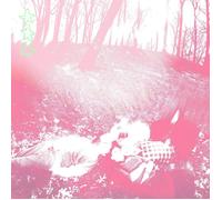 Shower Curtain Words from a Wishing Well (CD) Album Digipak