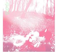 Shower Curtain Words from a Wishing Well (Vinyl LP)