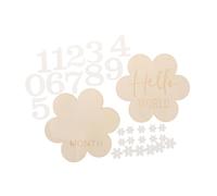SHOWERORO 2 Pezzi Cartelli Fiore Per Annuncio Di Nascita Ragazzo Ragazza Pietre Miliari Crescita Mensile Dischi Legno Tracker Registro Benvenuto Mondo
