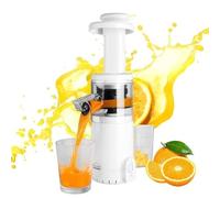 SHRGOMPIT Mini estrattore di succo a masticazione lenta, 300 ml, pressa fredda, per sedano, frutta e verdura