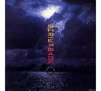 SHRIEKBACK - FISH BELOW THE ICE 12 INCH (12 " VINYL) UK ARISTA 1985