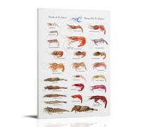Shrimp from The St Lawrence River Living Room Wall Art 20 x 30 cm