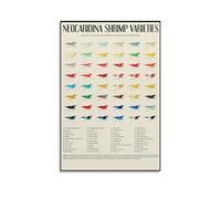 Shrimp Keeping Guide Poster, Neocaridina Color Varieties and Species Identification Chart, Educational Wall Art for Aquarium Enthusiasts and Teachers(Framed,08x12inch(20x30cm))