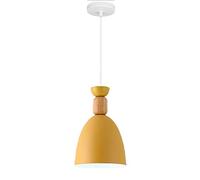 SHUANGZ Lampadario Macaron Illuminazione Lampada A Sospensione Industriale Lampada da Soffitto A Sospensione con Decorazione A Testa Singola Stile Country Pastorale Creativo per Il Comodino