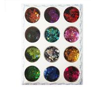 SHUBEIEUMI 12 Colori Glitter per Unghie, Set Glitter Iridescent, Kit Polvere Glitterata, Glitter Cosmetic per Face Nails Occhi Labbra Capelli Corpo