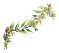 shuhauk Copricapo da fata, verde, rinascimentale, fantasia, cosplay, costume fantasy floreale, per adulti, donne, ragazze, festival delle fiere rinascimentali, feste di Halloween, matrimoni, servizi