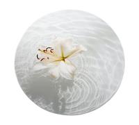 SHUODAOCO Tappeti rotondi minimalisti 120cm - giglio bianco sull'acqua modello moquette circolare pieghevole morbida camera da letto soggiorno ingresso pile corto