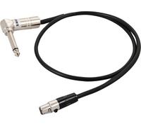 Shure WA 304