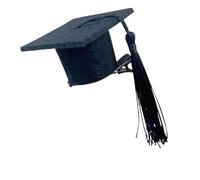 Shurzzesj Piccolo cappello da laurea, inserto per cappello da laurea - Fascia per fermagli per capelli con cappello di dottorato | Forniture per decorazioni fotografiche per travestimenti