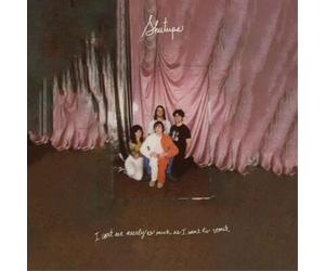Shutups I Can't Eat Nearly As Much As I Want to Vomit (Vinyl LP)