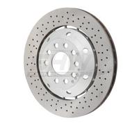 SHW Performance ARL46413 Disco freno per AUDI