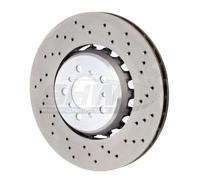 SHW Performance BFR44810 Disco freno per BMW