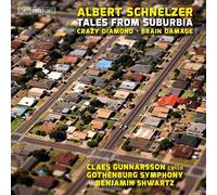 Shwartz Benjamin Dir - Tales From Suburbia, Concerto Per Violoncello "Crazy Diamond"