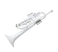 Si Bemolle Tromba A Tre Toni Strumento In Ottone Corno Studente Esame Di Prestazione Professionale Per Banda Principiante (Color : Paint)