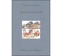 Si guarda com'è il sole