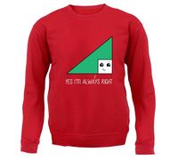 Si I'M Always Right - Adulti Felpa/Maglione - Matematica Gioco di Parole Scherzo