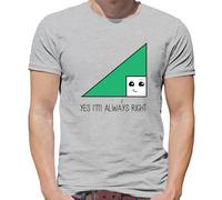 Si I'M Always Right - T-Shirt - Matematica Gioco di Parole Divertente Love