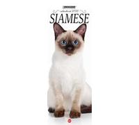 Siamese. Calendario 2026. Long
