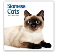 Siamese Cats - Siamesische Katzen - Siamkatzen 2026 - Wand-Kalender: Original Carousel-Kalender [Mehrsprachig] [Kalender]