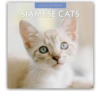 Siamese Cats - Siamkatzen - Siamesische Katzen 2026 - 16-Monatskalender: Original Red Robin Publishing Ltd-Kalender [Mehrsprachig] [Kalender]