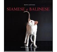 Siamese e balinese. Ediz. illustrata - Caratozzolo Simone