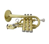 Sib/A Piccolo Tromba Strumenti Musicali Spazzola Finiture Corpo In Ottone Con Custodia(A)