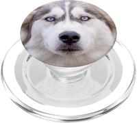 Siberian Husky con gli occhi azzurri PopSockets PopGrip per MagSafe