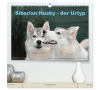 Siberian Husky - der Urtyp (hochwertiger Premium Wandkalender 2026 DIN A2 quer), Kunstdruck in Hochglanz: Eine Bilderauswahl aus der Husky Zucht ...Siberians of Savannah Town