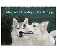 Siberian Husky - der Urtyp (Wandkalender 2026 DIN A2 quer), CALVENDO Monatskalender: Eine Bilderauswahl aus der Husky Zucht ...Siberians of Savannah Town