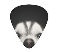 Siberian Husky Dog Plettrums Plettri per chitarra acustica elettrica basso (12 punti)