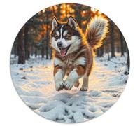 Siberian Husky Jigsaw Puzzle 1000 Pezzi Per Adulti Cute Pet Dog Puzzle Impegnativo E Difficile Per Straordinario Classici Giochi Rilassamento Regalo Per Amore E Amico Decorazione Della Famiglia 1000pc