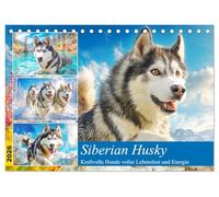 Siberian Husky. Kraftvolle Hunde voller Lebenslust und Energie (Tischkalender 2026 DIN A5 quer), CALVENDO Monatskalender: Majestätische und energiegeladene Hunde in schönen Bildern