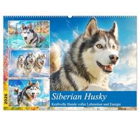 Siberian Husky. Kraftvolle Hunde voller Lebenslust und Energie (Wandkalender 2026 DIN A2 quer), CALVENDO Monatskalender: Majestätische und energiegeladene Hunde in schönen Bildern