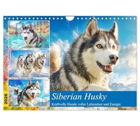 Siberian Husky. Kraftvolle Hunde voller Lebenslust und Energie (Wandkalender 2026 DIN A4 quer), CALVENDO Monatskalender: Majestätische und energiegeladene Hunde in schönen Bildern