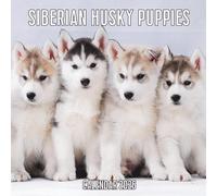 Siberian Husky Puppies Calendar 2026: 14-Month Organizer from Nov 2025 to Dec 2026 | Perfect for Home, Office, School & Family Scheduling, For Men , Women , Girls , Boys