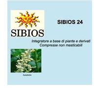 Sibios 24 48opr