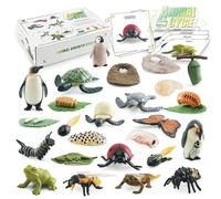 SIBOMTEX Ciclo di Vita Apprendimento & Educazione Giocattoli Montessori Bambini Educazione Figure Animali di Rana Farfalla Pollo Pinguino Ape Tartaruga 25PCS Craft Model Kit Ideale per Età 3+ Scienza