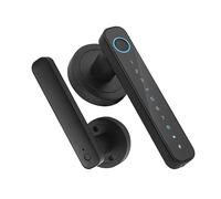 Sibomtex - Serratura biometrica intelligente con impronta digitale, senza chiave, con set di maniglie, chiave di supporto e password e app nt Tuya Telecomando BT Collegamento per casa, appartamento